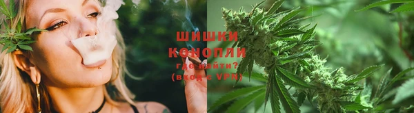 PSILOCYBIN Армянск